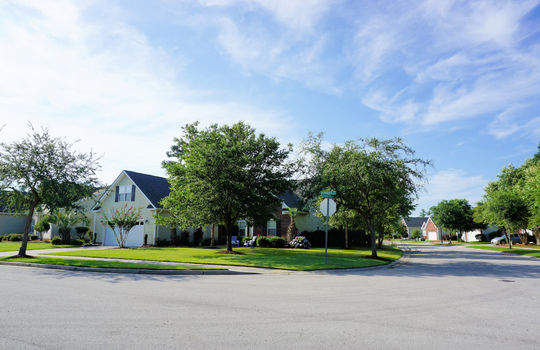 Rivers Edge - Streetscape