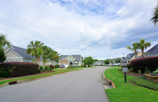 West Bay Estates - Palm Grove - Streetscape