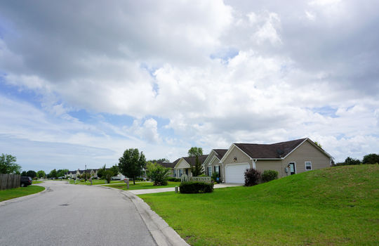 Whitney Pines - Entrance