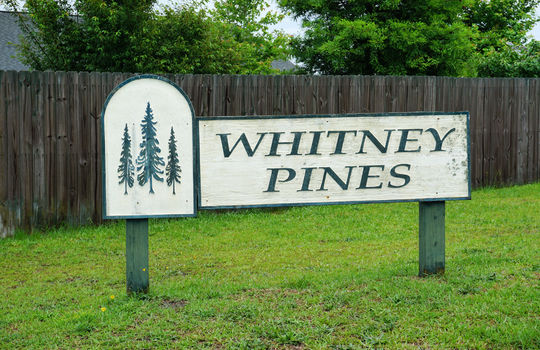 Whitney Pines - Entrance Sign