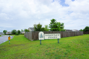 Whitney Pines - Entrance Sign