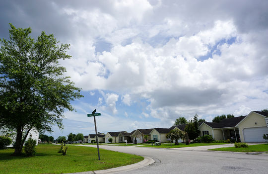 Whitney Pines - Streetscape