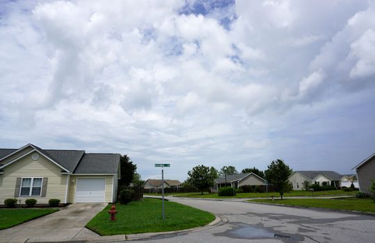 Whitney Pines - Streetscape