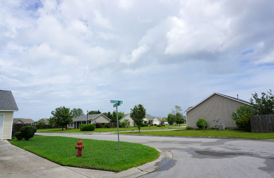 Whitney Pines - Streetscape