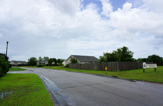 Whitney Pines - Streetscape