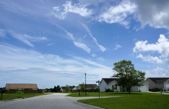 Whitney Pines - Streetscape