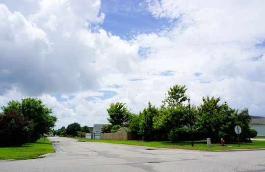 Whitney Pines - Streetscape