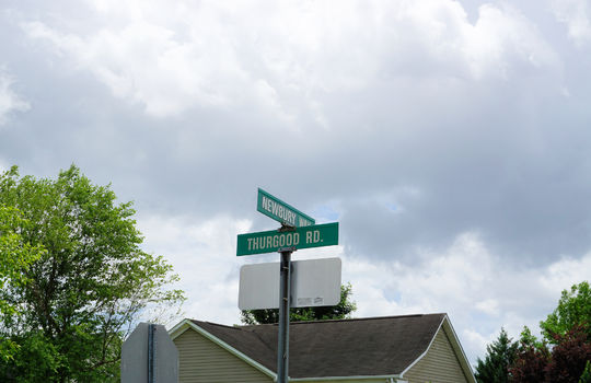 Whitney Pines - Streetsign