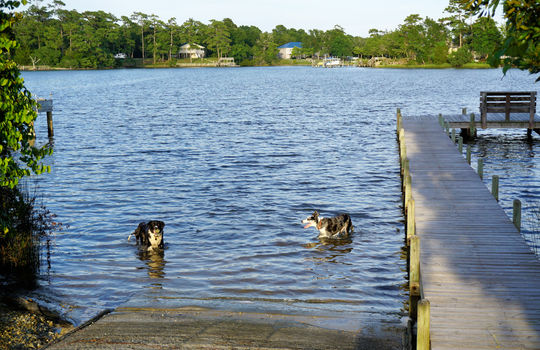 Boat Ramp and Dock