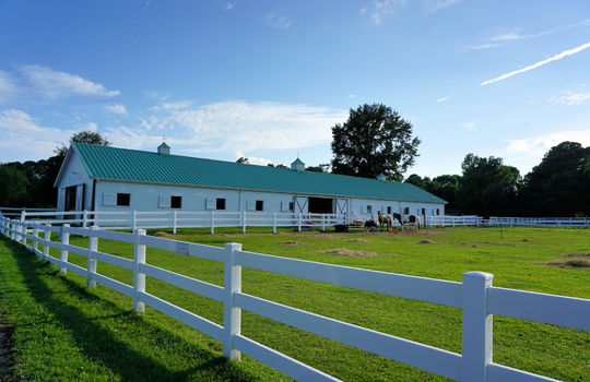 Stables and Horses