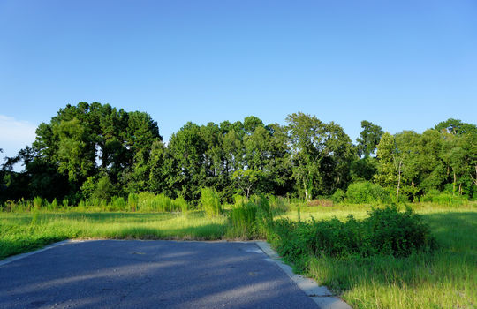 Future Development Area