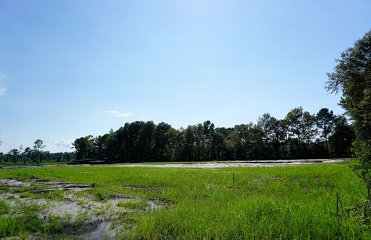 Streetscape Under Construction