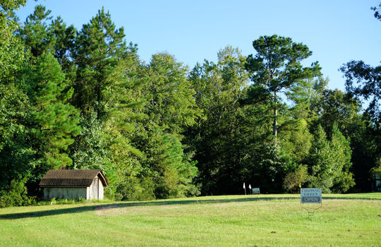Grand Oaks - Chipping Green