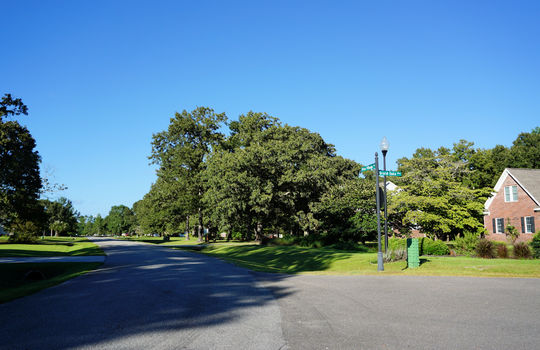 Grand Oaks - Oak Ridge I - Streetscape