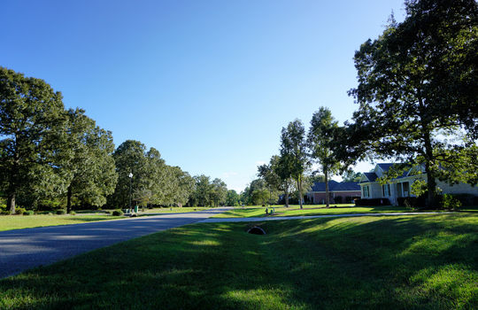 Grand Oaks - Oak Ridge I - Streetscape