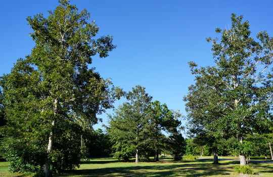 Grand Oaks - Oak Ridge II - Lots