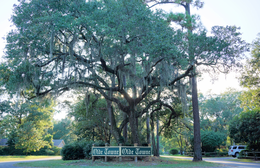 Olde Towne Homes for Sale in Leland, NC The Cameron Team