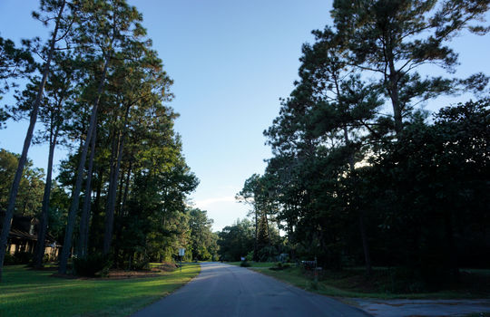 Olde Towne Estates - Streetscape