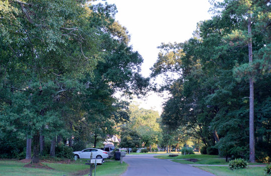 Olde Towne - Streetscape