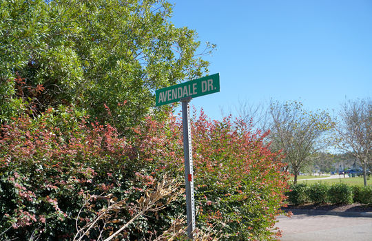 Street Sign