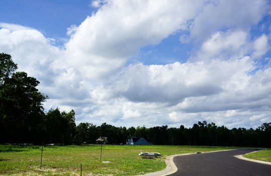 Lanvale Forest - Lots