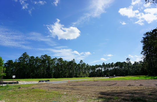 Lanvale Forest - Lots