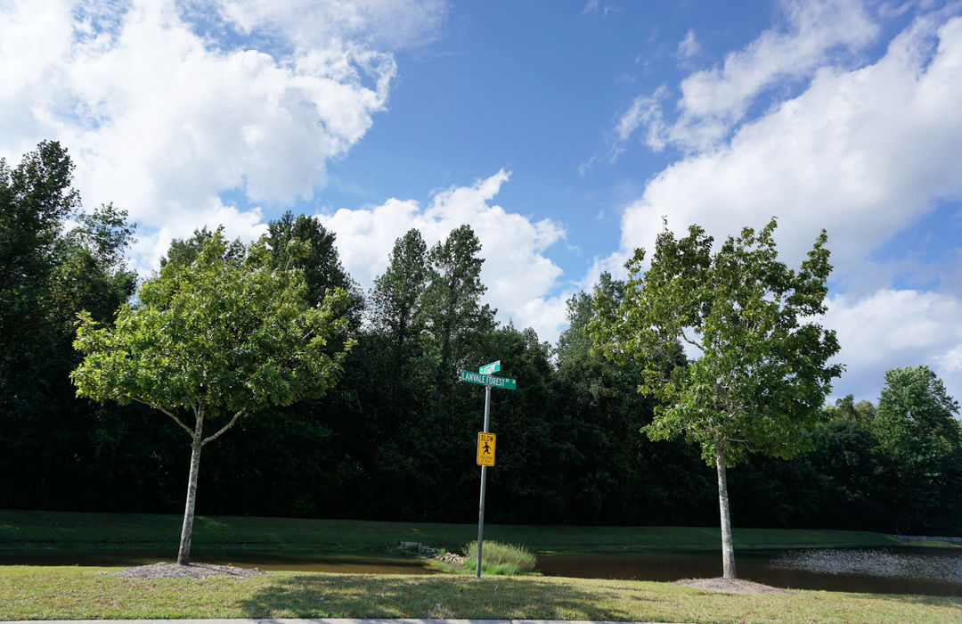 Lanvale Forest Homes for Sale in Leland, NC The Cameron Team