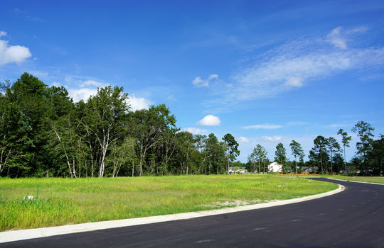 Lanvale Forest - Streetscape
