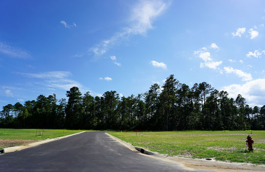 Lanvale Forest - Streetscape