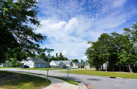 Lanvale Forest - Streetscape