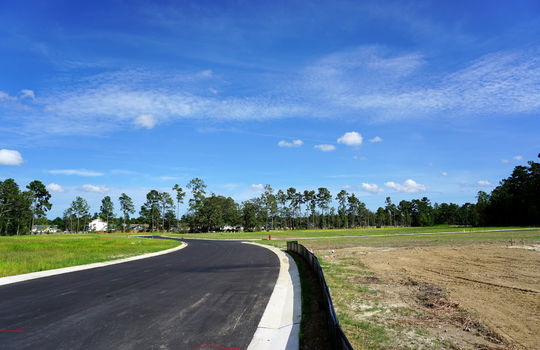 Lanvale Forest - Streetscape