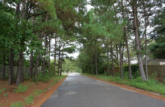 Lanvale Trace - Streetscape