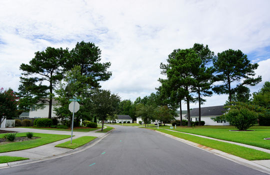 Lanvale Trace - Streetscape