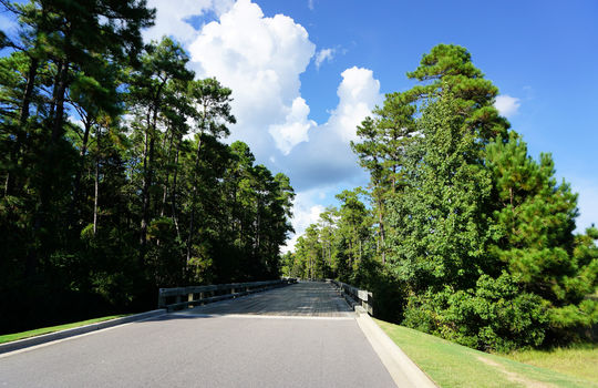 The Bluffs on the Cape Fear - Bridge