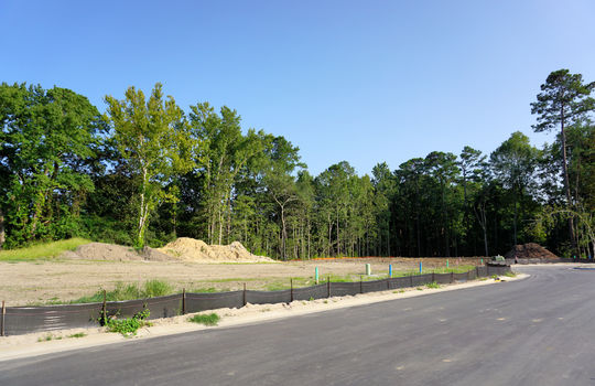 The Home Place - Streetscape