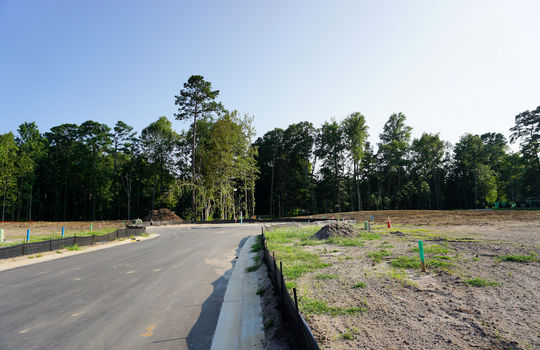 The Home Place - Streetscape