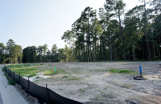 The Home Place - Streetscape