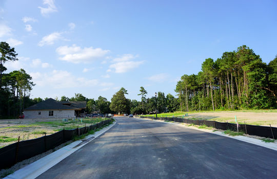 The Home Place - Streetscape