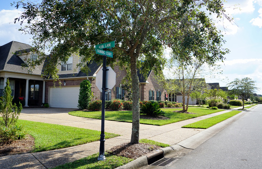 Alva Lane - Streetscape