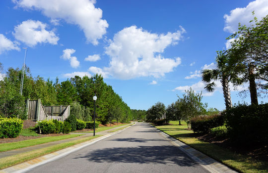 Woodwind Drive - Streetscape