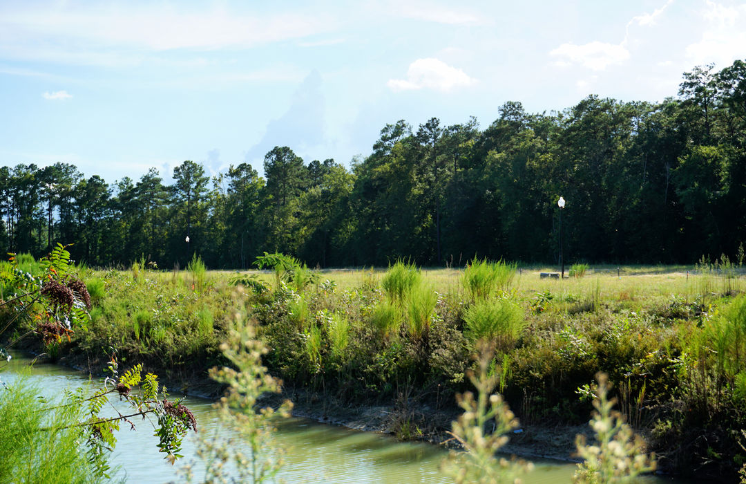 Windermere Estates Homes for Sale in Leland, NC The Cameron Team