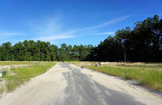 Windermere - Road and Lots