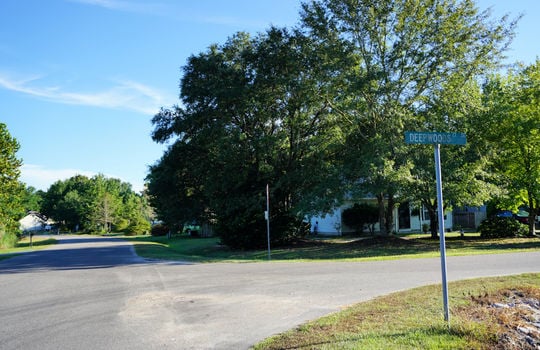 Woodridge - Streetscape