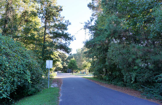 Woodridge - Streetscape