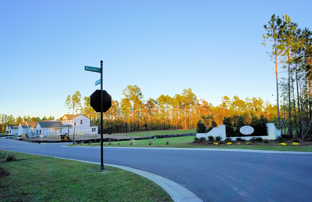 Homes for Sale in Adair Park, a Natural Gas Community in Leland, NC