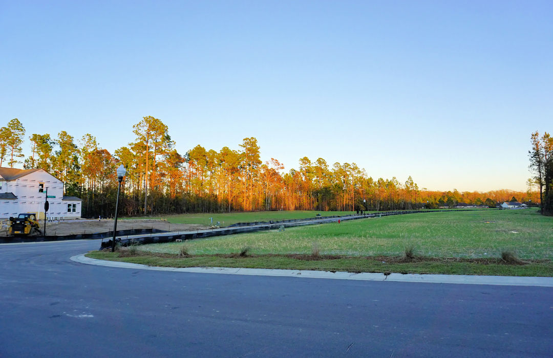 Homes for Sale in Adair Park, a Natural Gas Community in Leland, NC