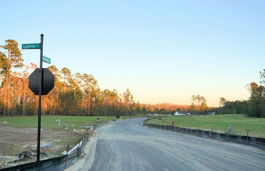 Streetscape and Lots