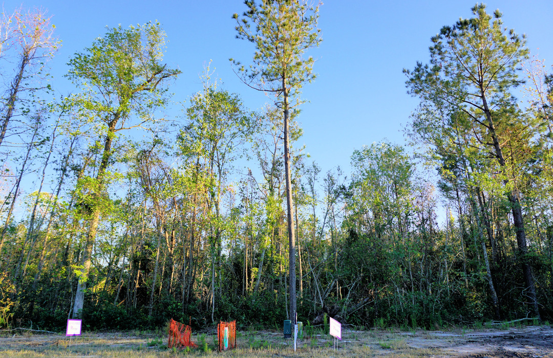 Clay Crossing Homes for Sale in Wilmington, NC The Cameron Team