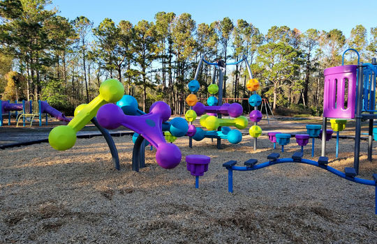 New Kings Grant Park Playground