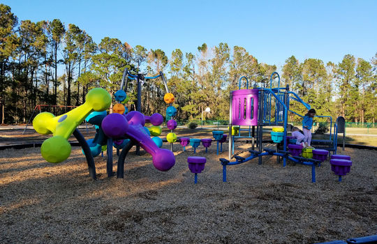 New Kings Grant Park Playground
